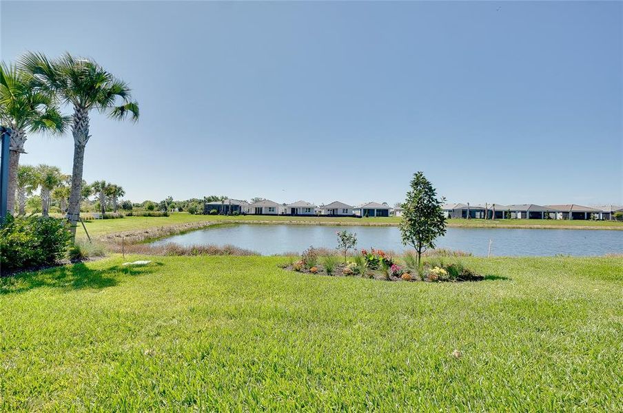 Natural landscape and outdoor views near BeachWalk by Manasota Key in Englewood (Image 76).