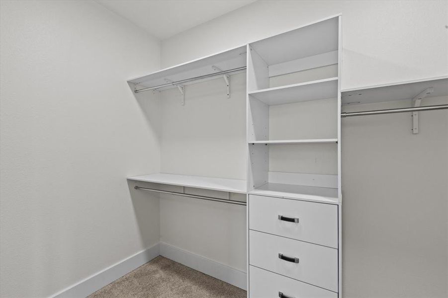 Spacious closet featuring light colored carpet