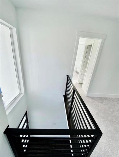 Nice Modern Iron railing.