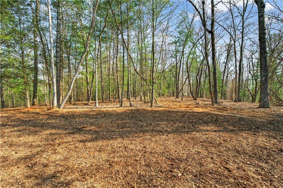 Natural landscape and outdoor views near  in Ellijay (Image 32).