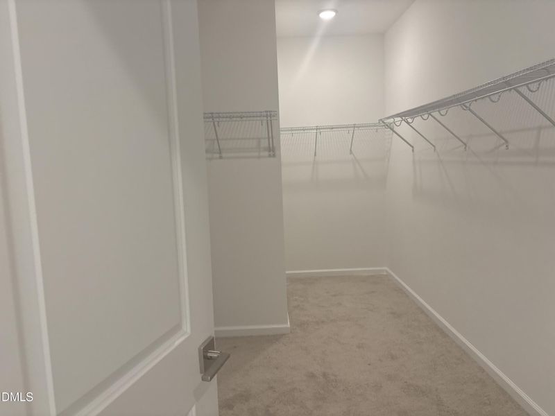 Photo_Nov_04_25 03-49-15 PM Photo_Nov_04_25 03-49-15 PM