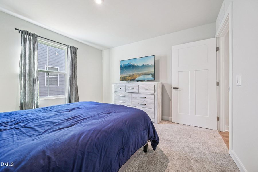 24-web-or-mls-matthiola-S1301-024