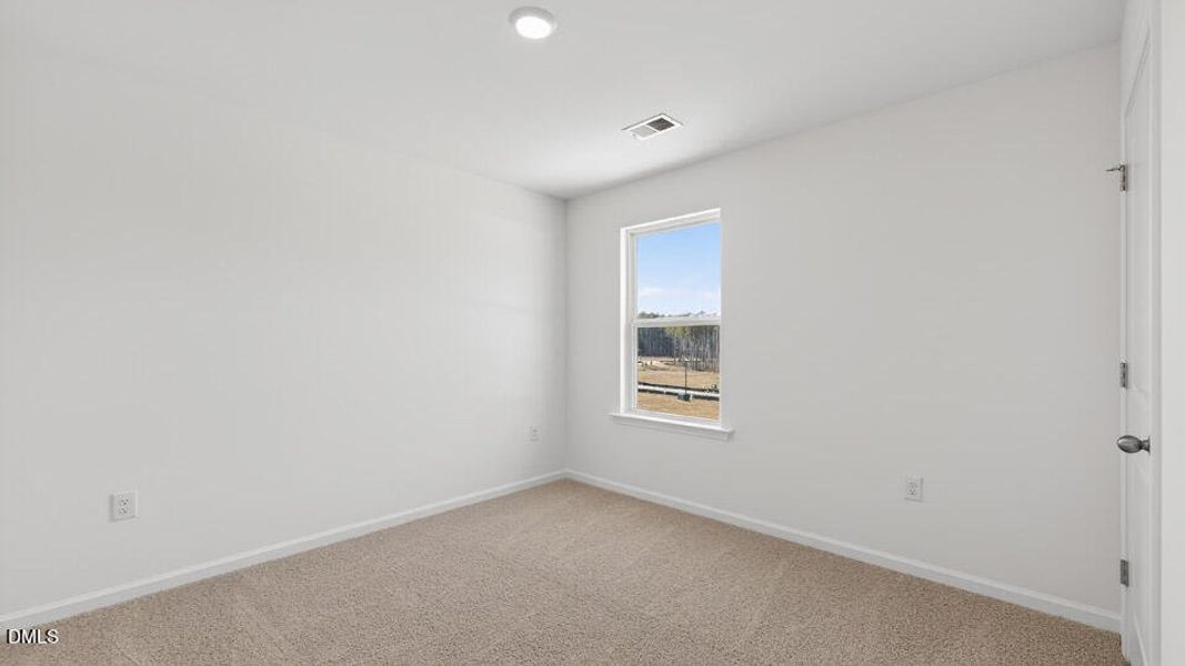 229 Palomino Wy-28 229 Palomino Wy-28