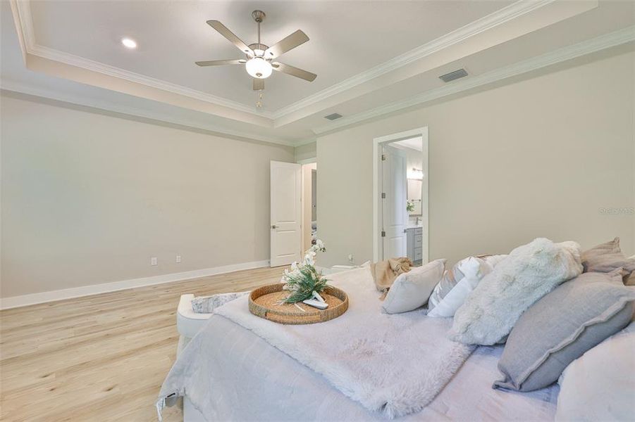 Furnished interior view inside a new home in Bella Terra, Hudson (Image 5).