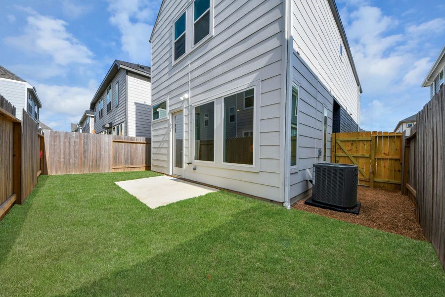 Backyard