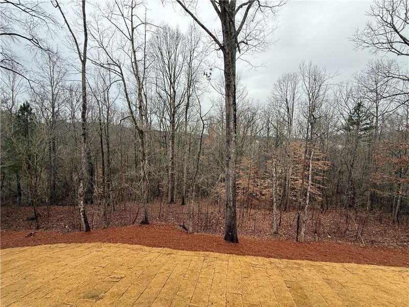 Natural landscape and outdoor views near  in Jefferson (Image 60).