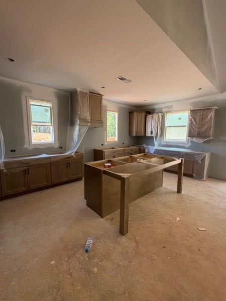 In-progress construction of a new home in WOODMONT RESERVE, Roopville, GA (Image 3).