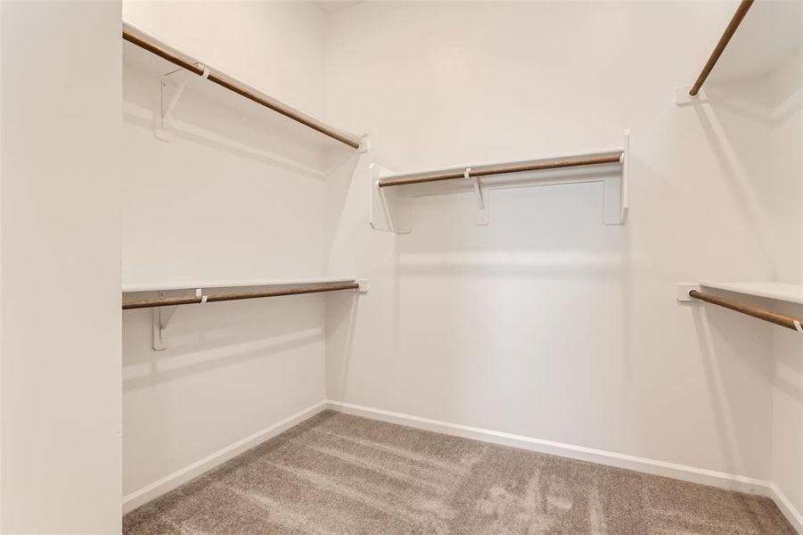 Spacious closet featuring light carpet
