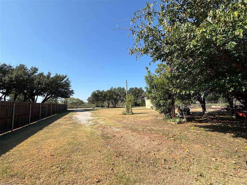 Natural landscape and outdoor views near  in Early (Image 11).