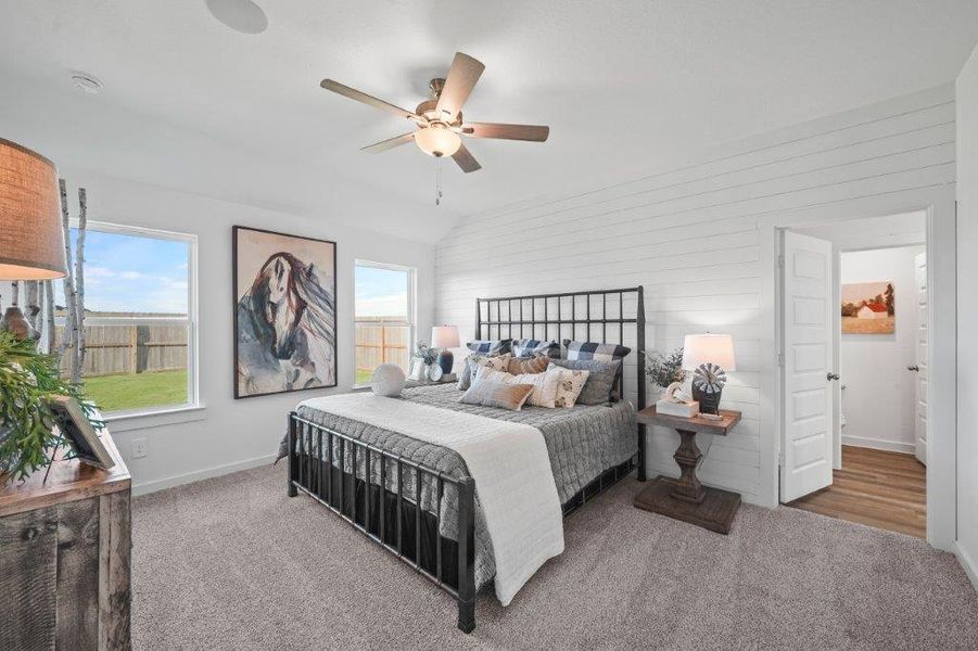 representative photo