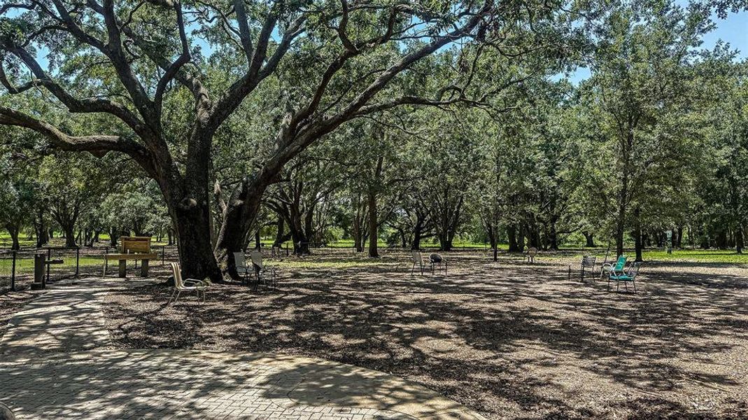 Natural landscape and outdoor views near Waterstone in Groveland (Image 25).