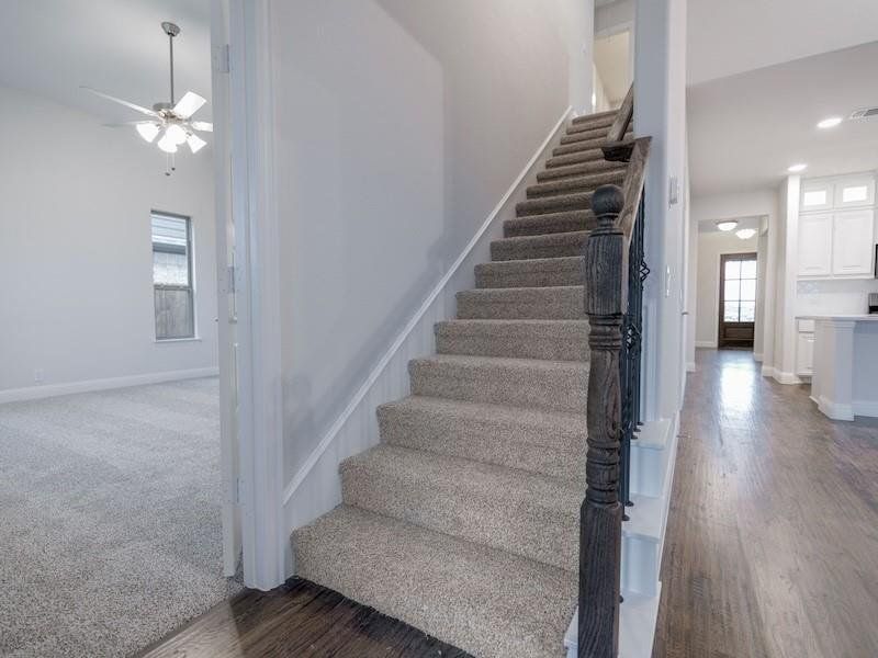 Staircase featuring wood-type flooring and ceiling fan