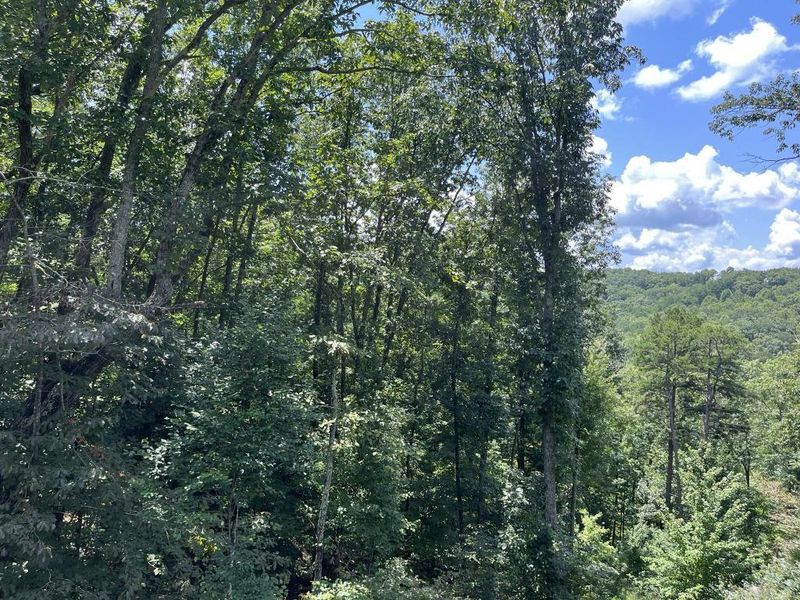 Natural landscape and outdoor views near in Ranger (Image 8). Natural landscape and outdoor views near in Ranger (Image 8).