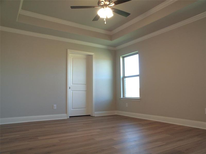 Spare room featuring crown molding, a raised ceiling, dark hardwood / wood-style flooring, and ceiling fan