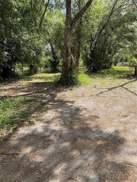 Natural landscape and outdoor views near  in Arcadia (Image 13).