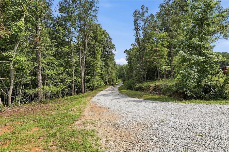Natural landscape and outdoor views near  in Demorest (Image 57).