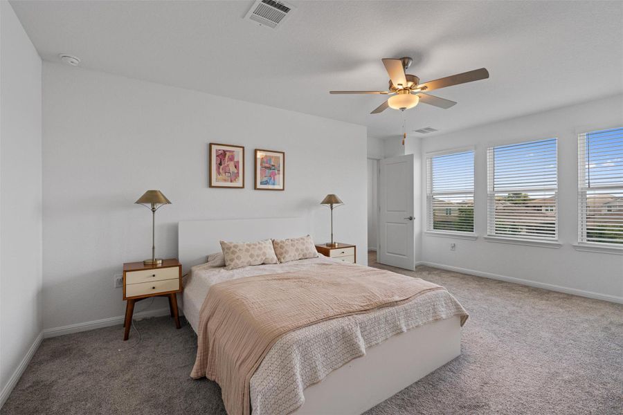 Primary bedroom has a wall of windows allowing for natural light and a celing fan