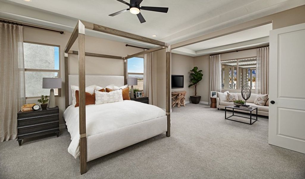 Darius-T786-HighMesa Owner's Bedroom