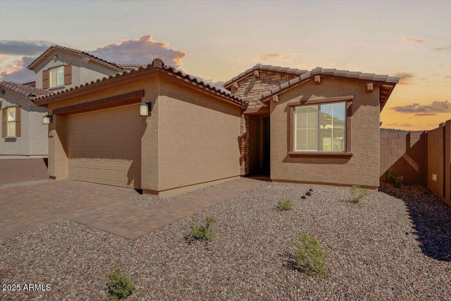 hj-az-phoenix-mystic-discovery-lily-lot-