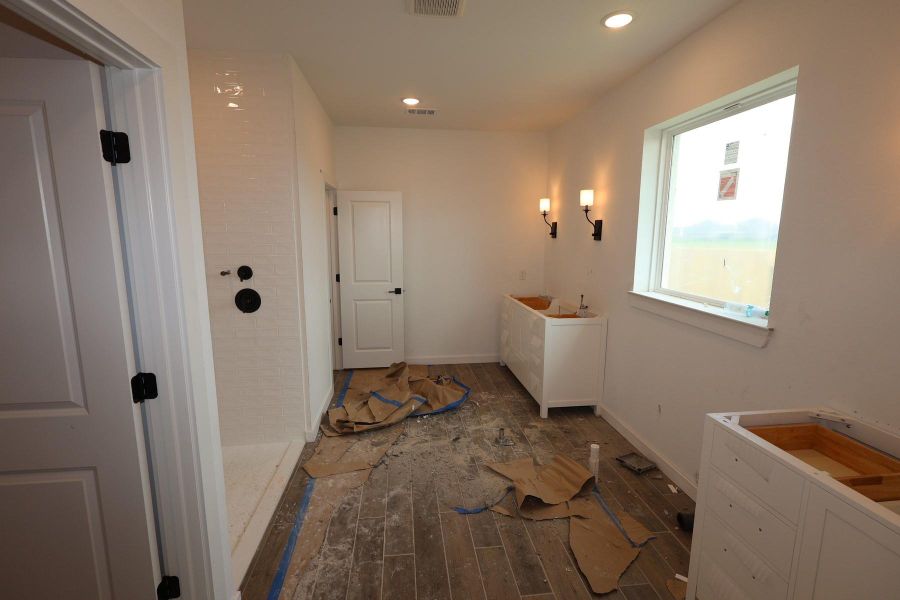 Primary bath - still under construction!