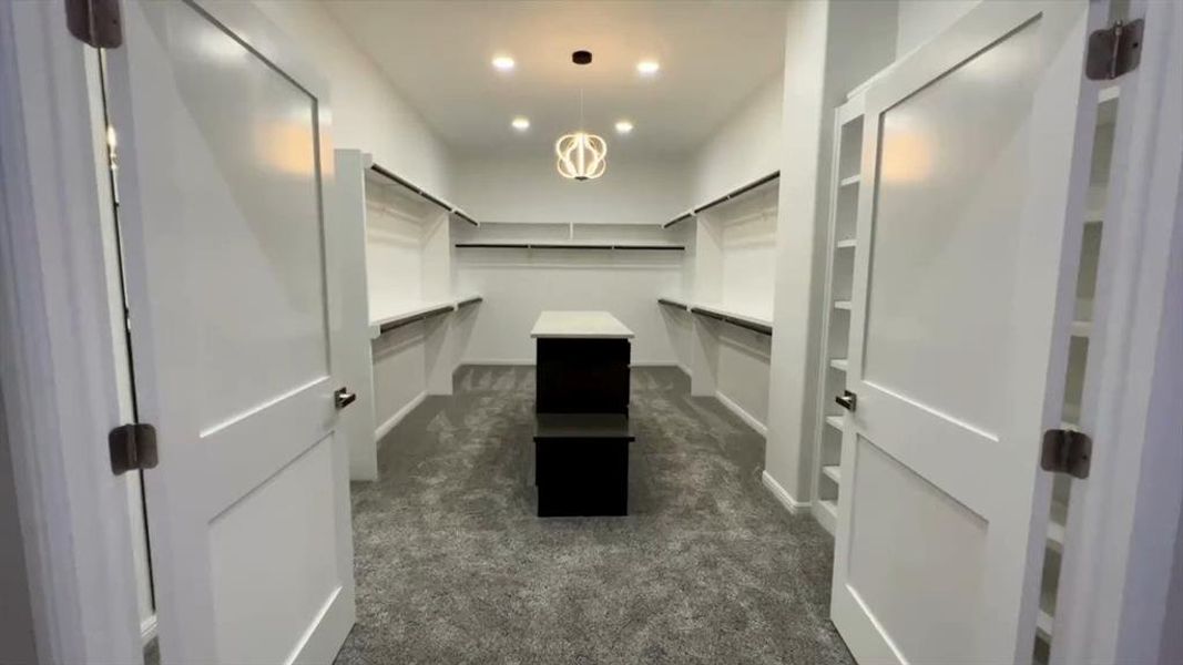 Spacious closet with dark colored carpet