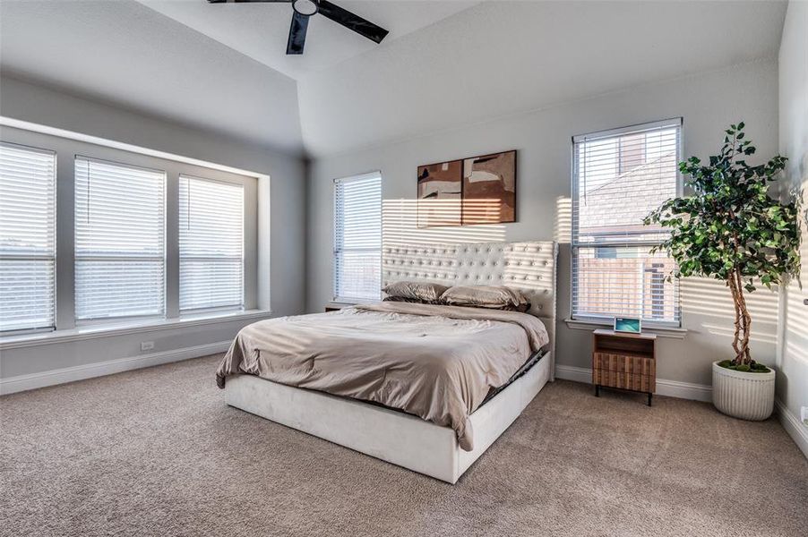 Carpeted bedroom with baseboards and a ceiling fan Carpeted bedroom with baseboards and a ceiling fan