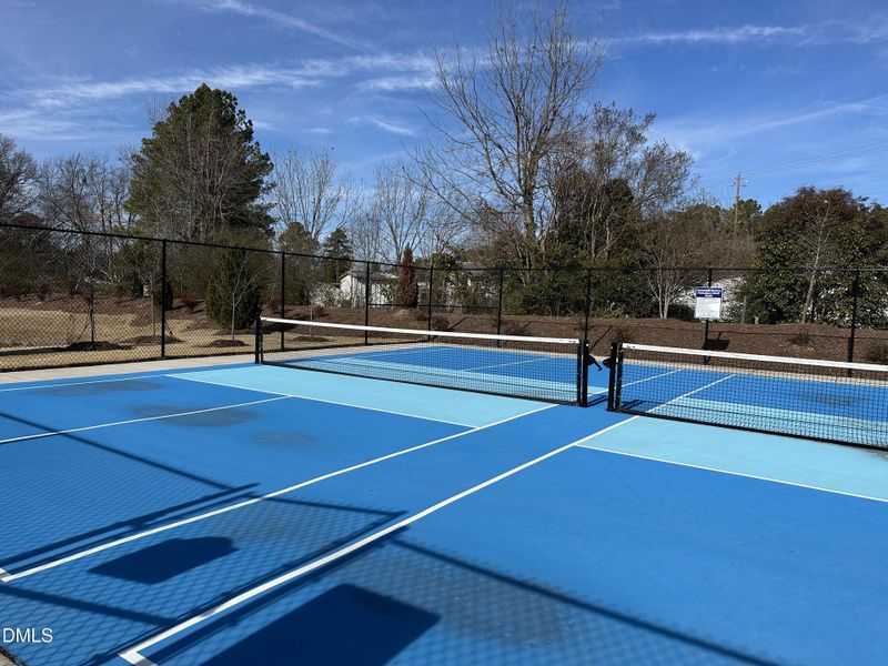 Pickle Ball Pickle Ball