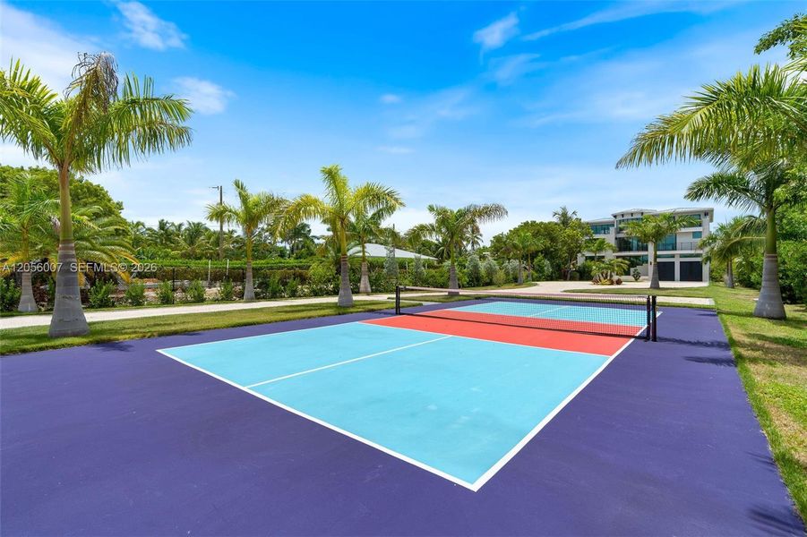 Pickleball Court Pickleball Court