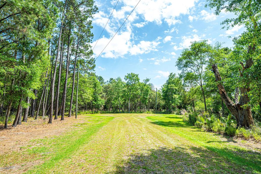 Natural landscape and outdoor views near  in Edisto Island (Image 26).