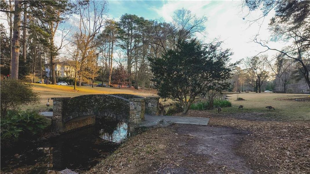 Natural landscape and outdoor views near  in Atlanta (Image 50).