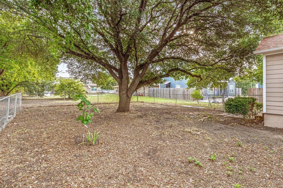 View of yard View of yard