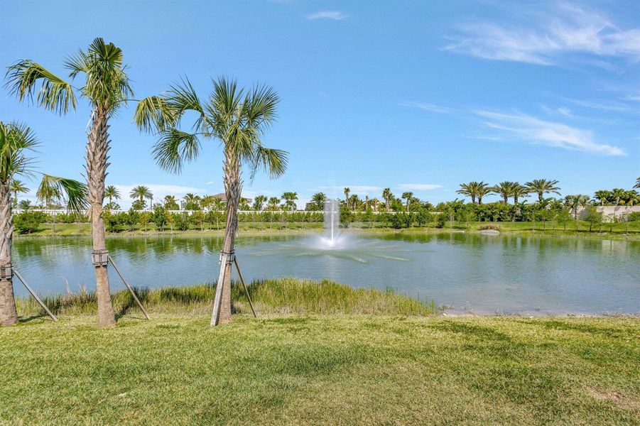 49-web-or-mls-4 (243) 49-web-or-mls-4 (243)