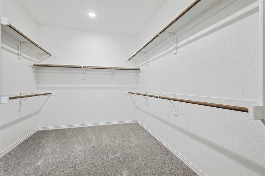 Spacious closet with carpet flooring