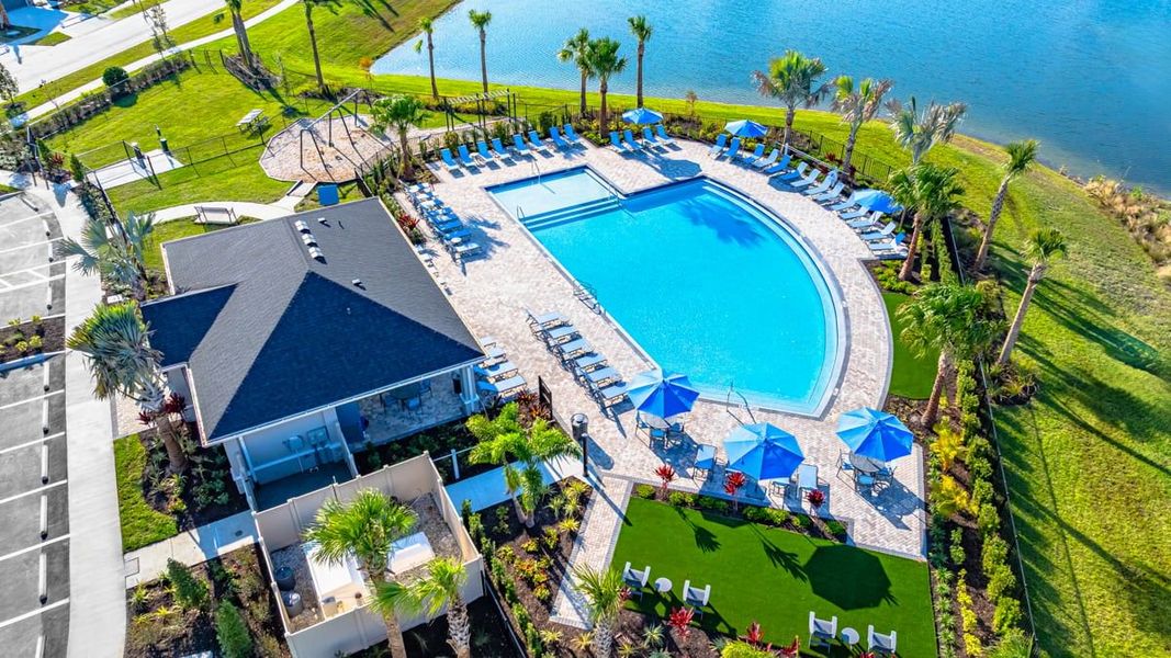 Community amenities in Indigo Creek, Apollo Beach (Image 12).