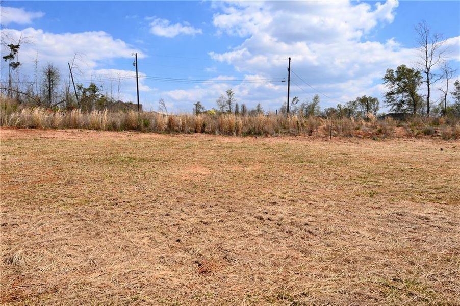 Natural landscape and outdoor views near  in Griffin (Image 16).