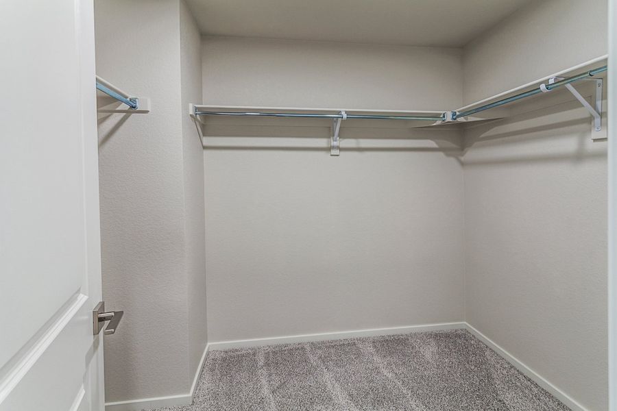 Spacious, unfurnished interior of a new home in Trailside, Timnath (Image 24).