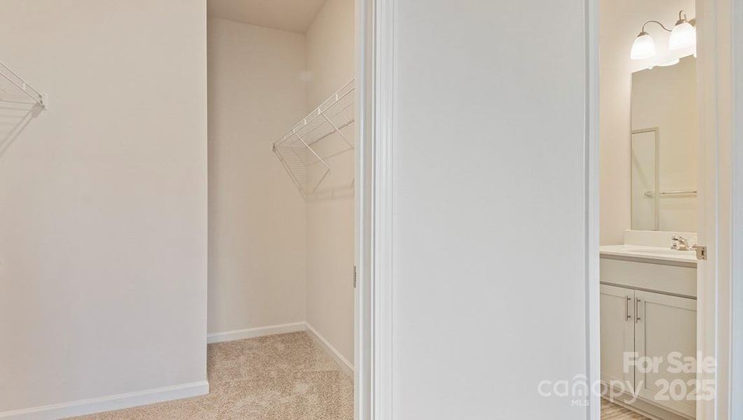 Photos are representative