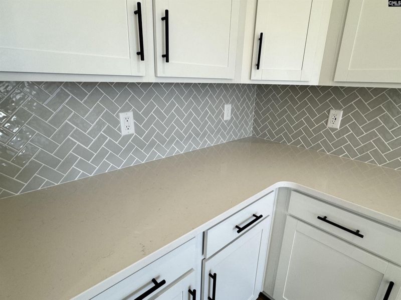 Furnished interior view inside a new home in Boykin Hills, Chapin (Image 3).