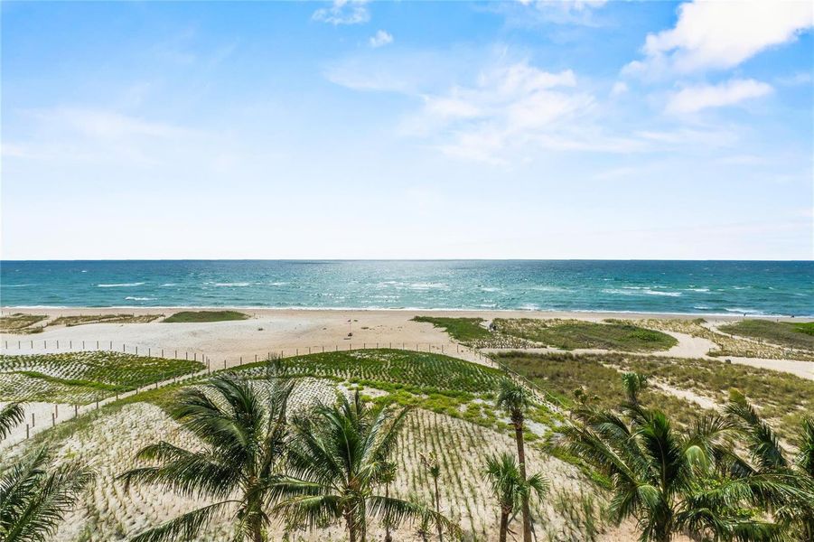 Beautiful Ocean and Dune Views