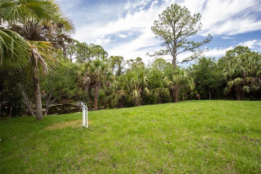 Natural landscape and outdoor views near in North Port (Image 55). Natural landscape and outdoor views near in North Port (Image 55).
