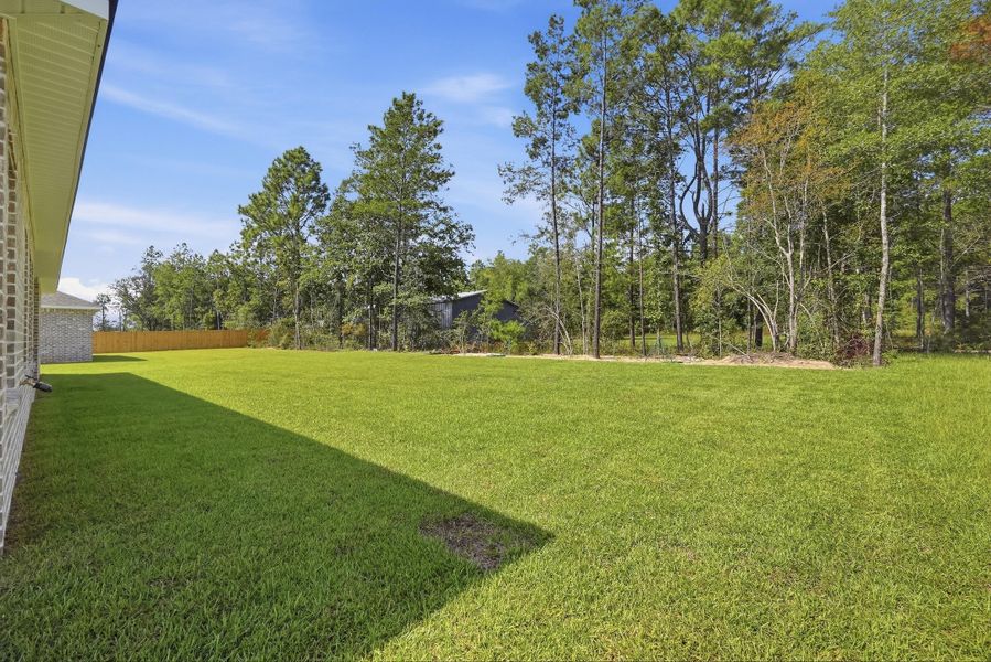 6116 mildreds wy-49