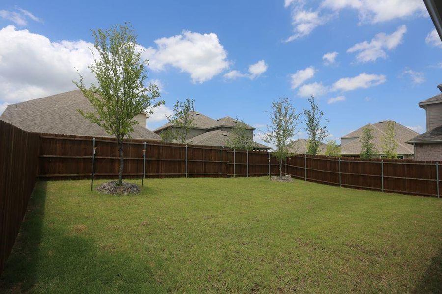 Expansive grassy yard enclosed by a tall stained wood privacy fence, featuring several young trees