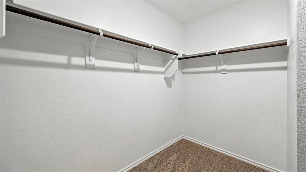 Walk-in closet featuring white painted walls, a built-in hanging rod system, and neutral-toned carpet flooring Walk-in closet featuring white painted walls, a built-in hanging rod system, and neutral-toned carpet flooring