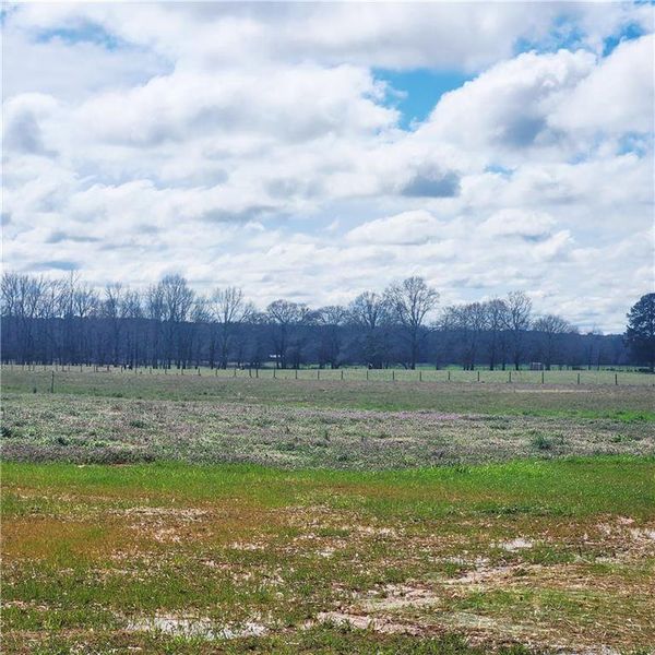 Natural landscape and outdoor views near  in McDonough (Image 35).