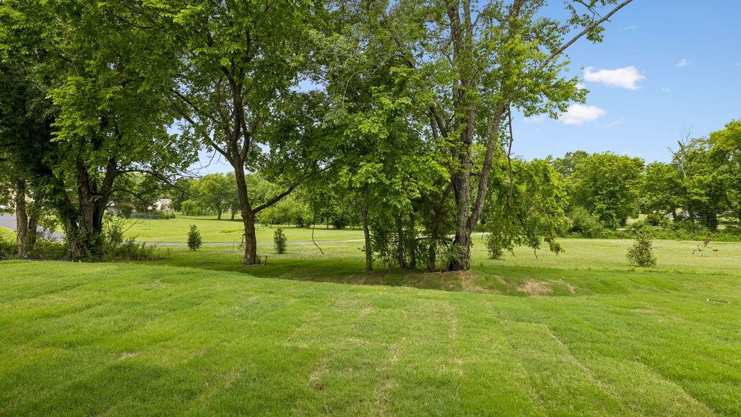 Outdoor and nature views near homes built from the Holden by D.R. Horton in Harvest Point, Spring Hill (Image 64).