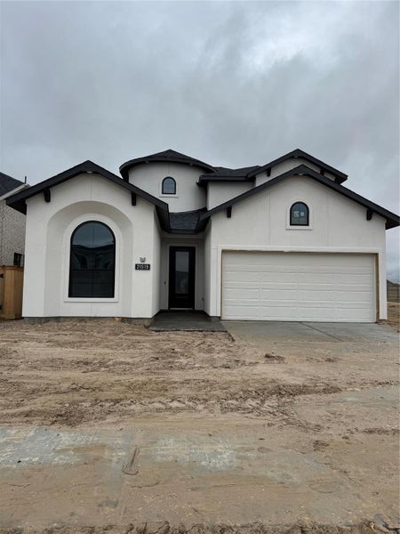 Unique castle elevation with modern colors