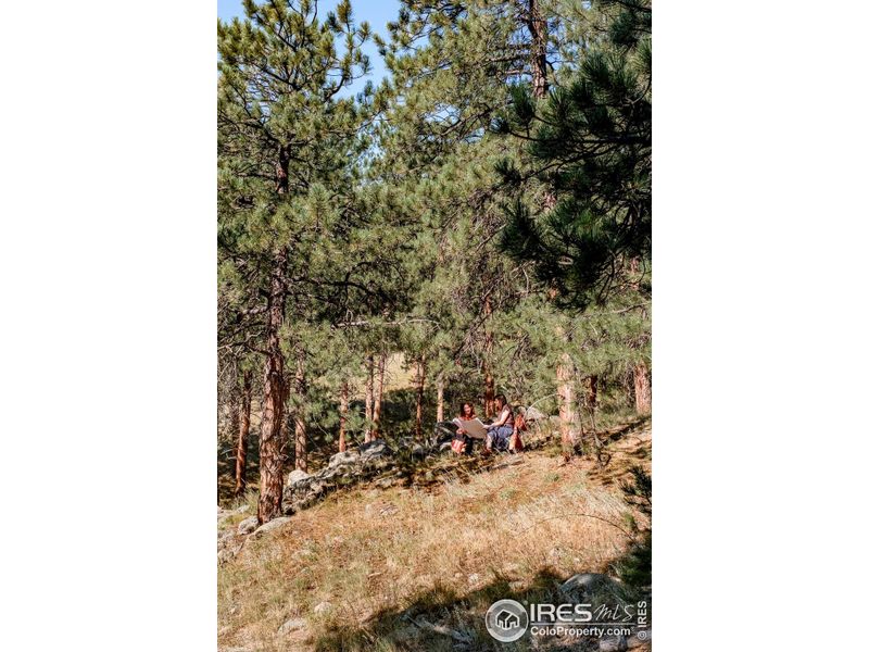 Image 17 of a home in . Image 17 of a home in .