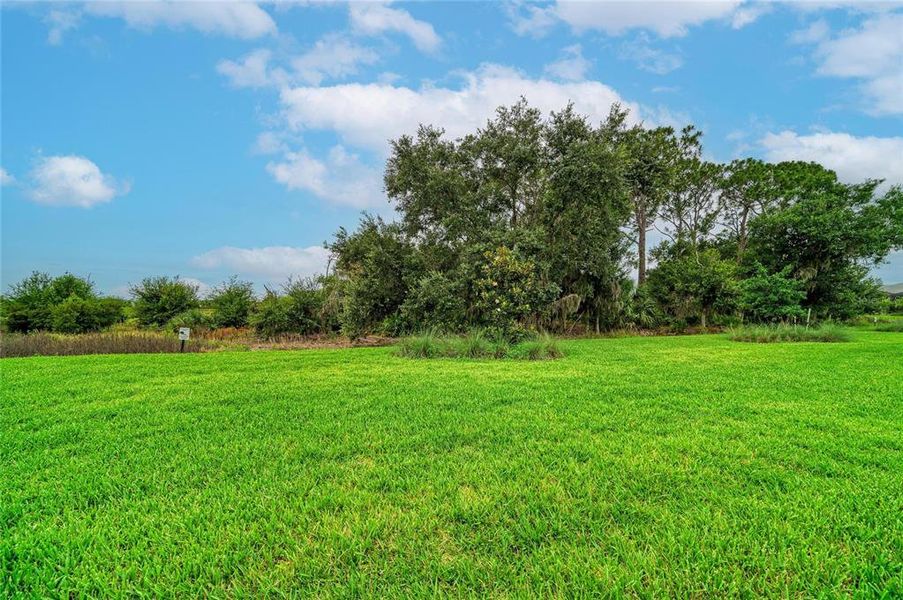 Natural landscape and outdoor views near  in Sarasota (Image 57).