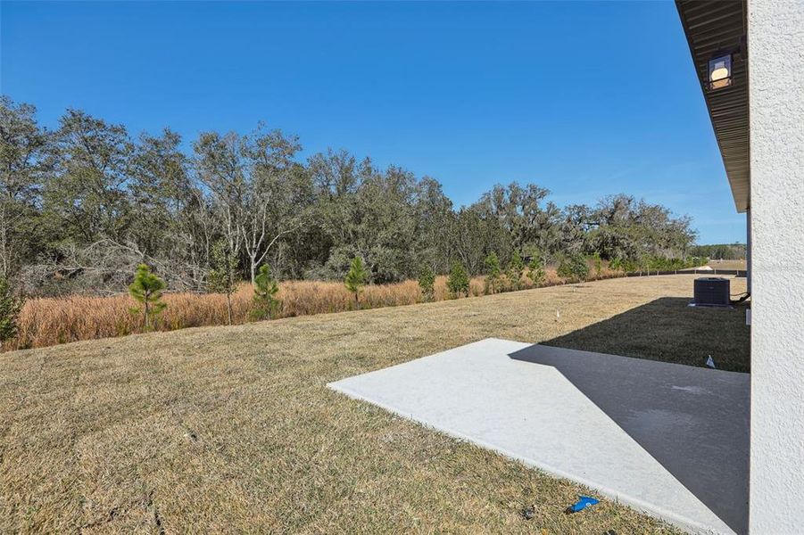 Exterior details and patio area of a home in Leyland Preserve - Classic Series, Brooksville (Image 23).