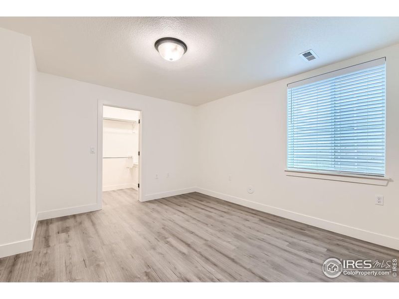 Big basement bedroom with walk-in closet and high ceilings.